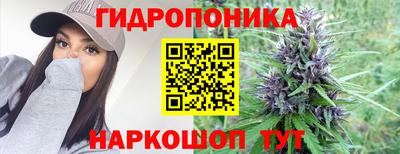 гашик Балашиха