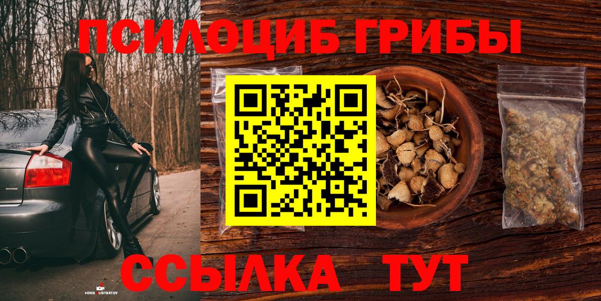 Жигулёвск  Галлюциногенные грибы MAGIC MUSHROOMS  Псилоцибиновые грибы MAGIC MUSHROOMS  Вход с VPN 