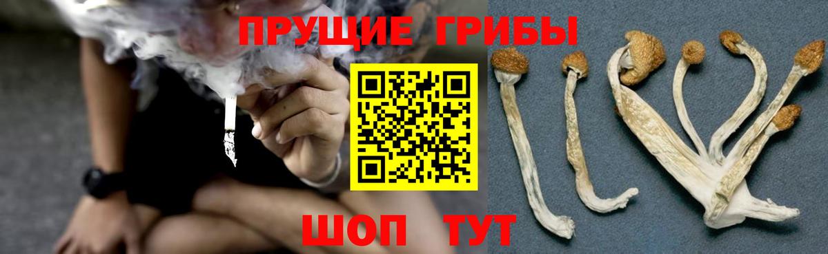Псилоцибиновые грибы GOLDEN TEACHER Жигулёвск